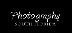 Photography South Florida